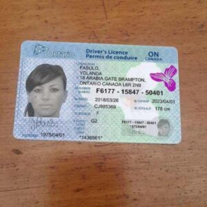 Canadian Driver’s License